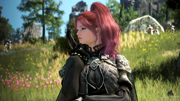 黒い砂漠 スカラー