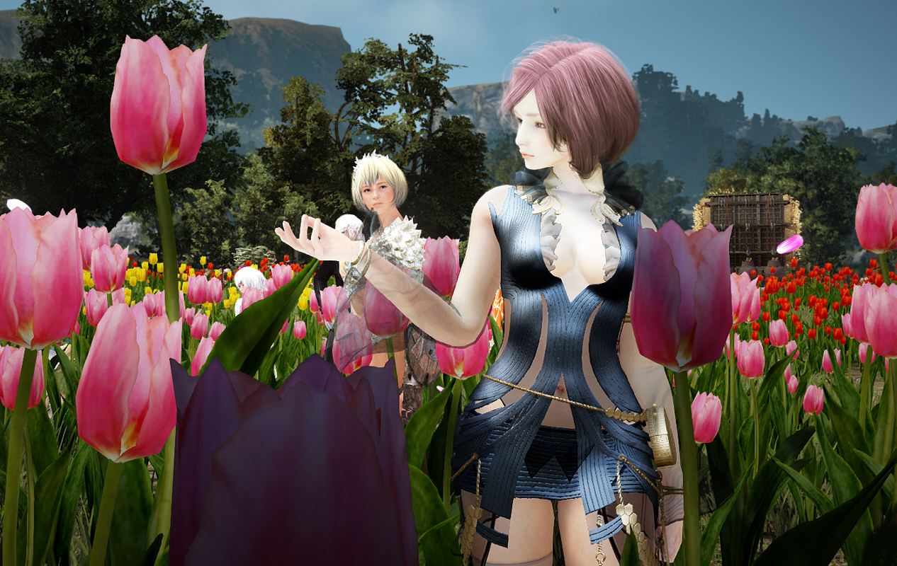 春のドレスアバ撮影会 2 2 Valkyrie 春のドレスアバ撮影会 2 2 Valkyrie