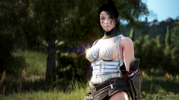 黒い砂漠 くノ一 アセシーナ衣装