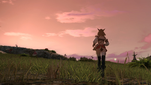 Final fantasy14 コスタ・デル・ソル