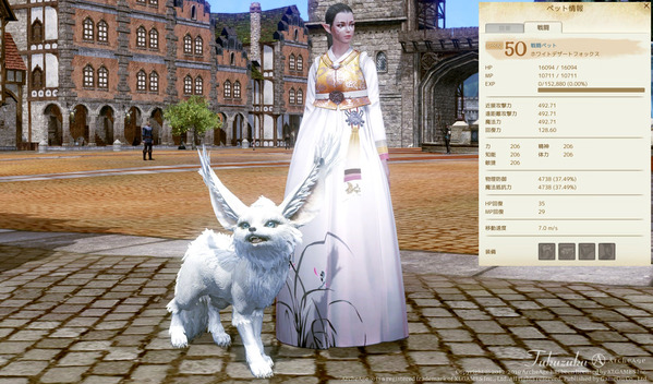 ArcheAge 戦闘ペット ホワイトデザートフォックス