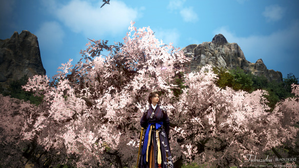 黒い砂漠 ウサ 桜並木