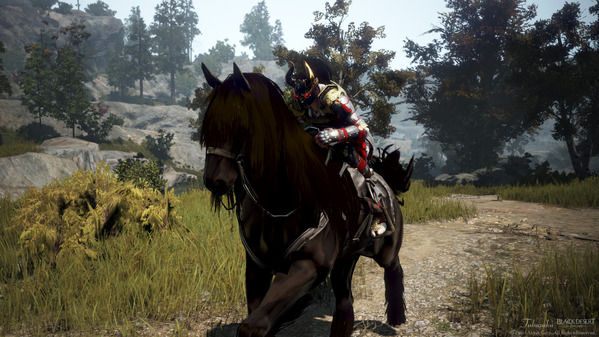 黒い砂漠 忍者 馬