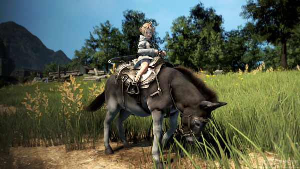 黒い砂漠 シャイ ロバ