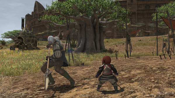FF14 ララフェル FF14 ララフェル 剣術士育成