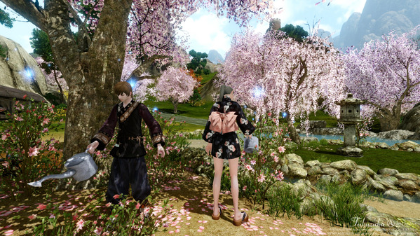 ArcheAge 満開の桜を見に行こう!リュート港の春物語