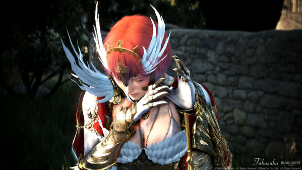 黒い砂漠 ヴァルキリー ベンスルラ武器、衣装セット アバター