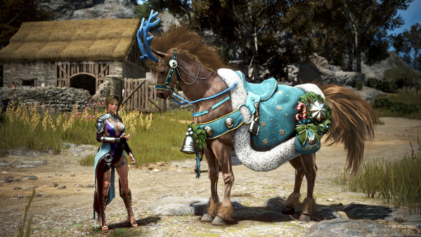 黒い砂漠 ブリッツェン馬具 ソーサレス