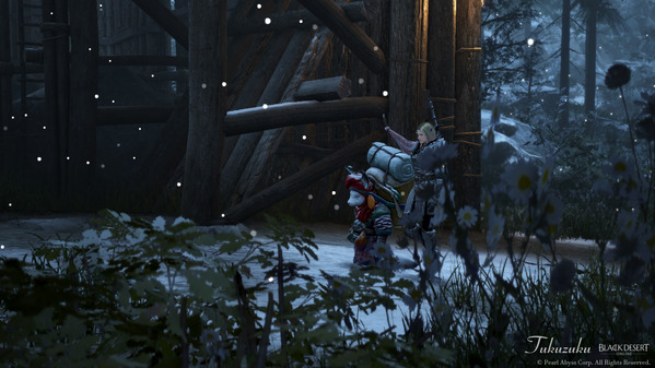 黒い砂漠 果てしない冬の山