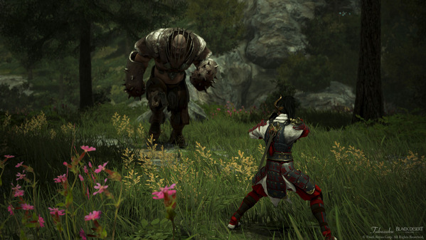 黒い砂漠 闇の狭間ボス マスカン 忍者