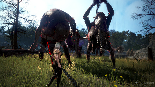 黒い砂漠 トロル生息地[エルビア] ドラカニア