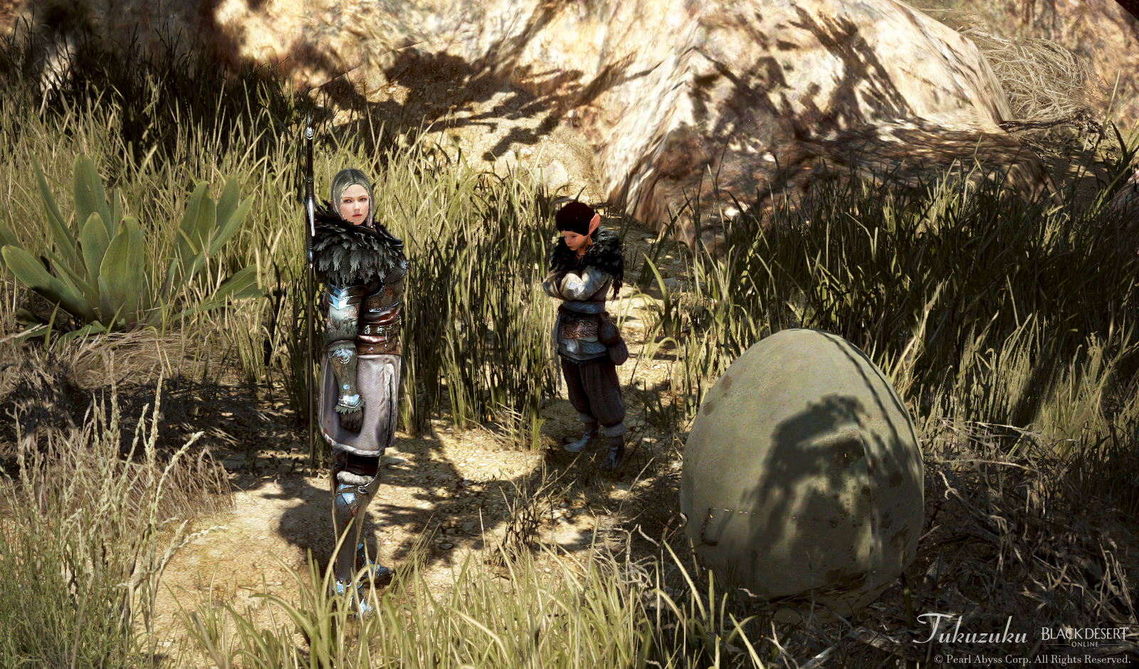 ドラカニアの伝承クエスト Valkyrie