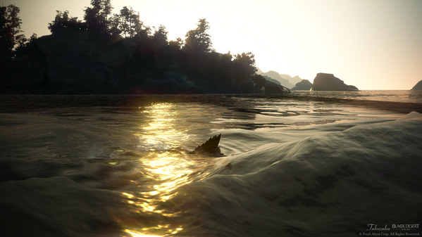 黒い砂漠 おさかなウェア