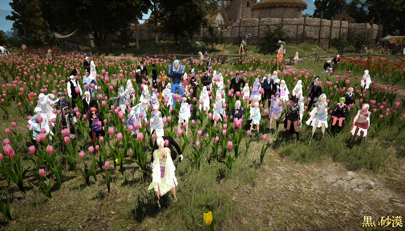 春のドレスアバ撮影会 2 2 Valkyrie 春のドレスアバ撮影会 2 2 Valkyrie