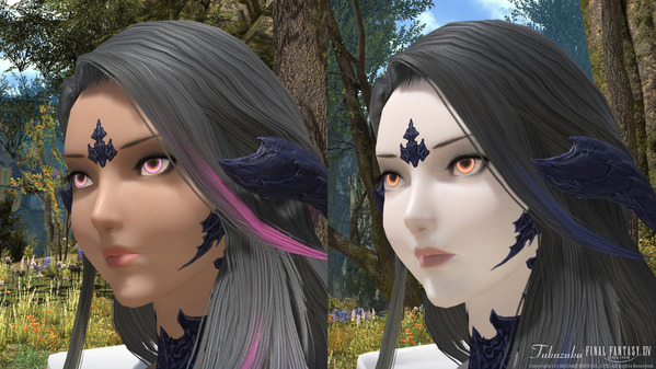 FF14 黄金のレガシー ベンチマーク