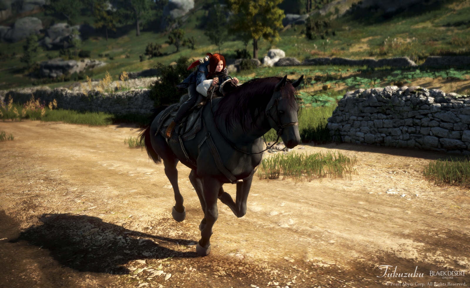 馬放置中 Valkyrie