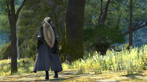 FF14 グリダニア
