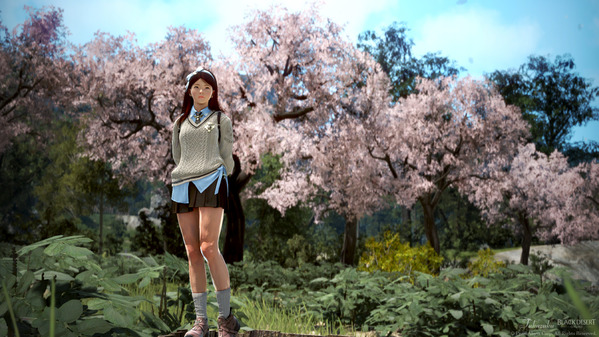 黒い砂漠 桜 ジュネス衣装 リトルサマナー
