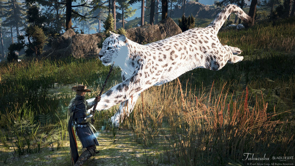 黒い砂漠 狩猟 野生の雪豹