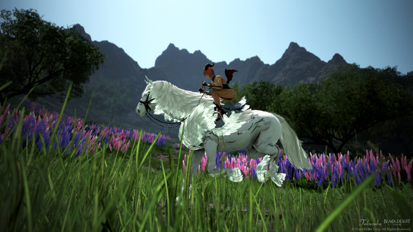 黒い砂漠 ヴァルキリー エダニア