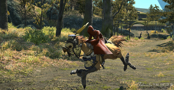 FF14