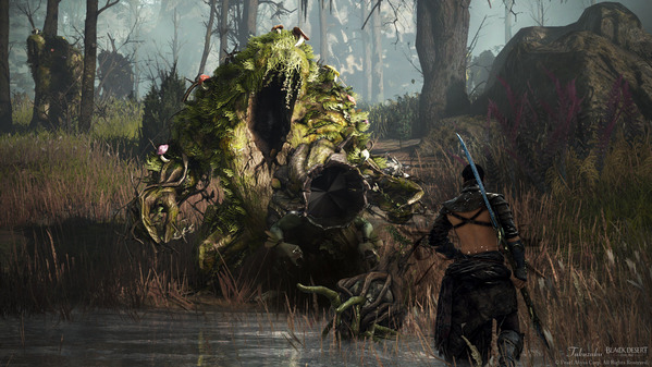 黒い砂漠 トシュラ廃墟 ハサシン