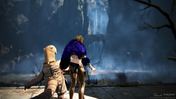 黒い砂漠 ガーモスの巣