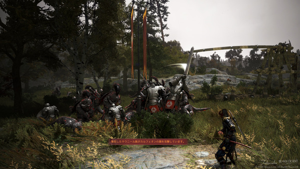 黒い砂漠 サウニールキャンプ エルビアの領域 忍者