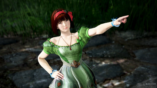 黒い砂漠 リトルサマナー ワンダーランド衣装 染色