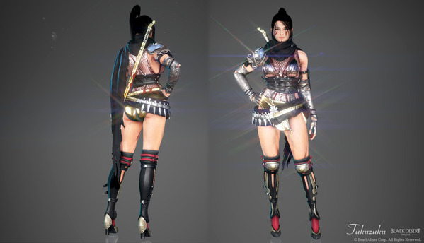 黒い砂漠 くノ一 [KN]アセシーナ衣装