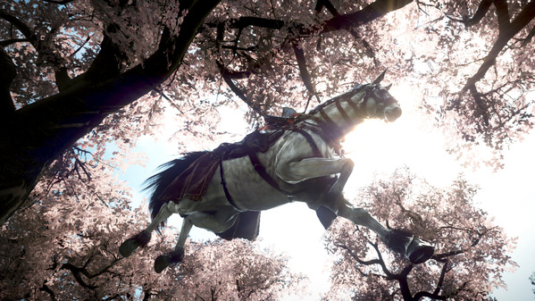 黒い砂漠 馬 桜