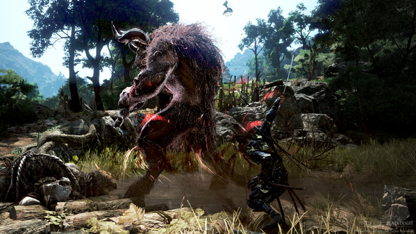 黒い砂漠 ウルトゥカ ツンクタ 忍者