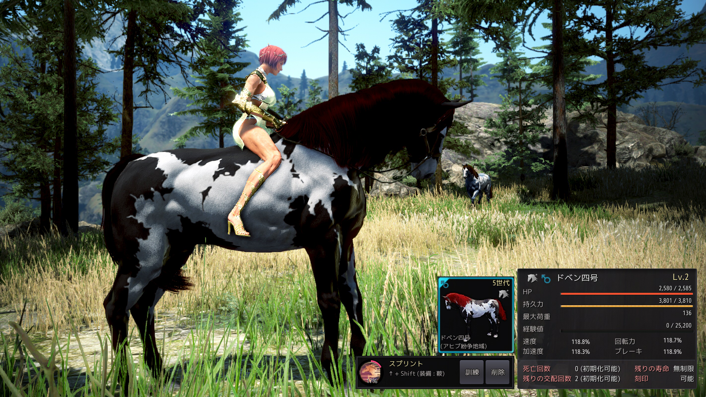 ドベンで野生馬 Valkyrie ドベンで野生馬 Valkyrie