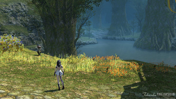 FF14 マイディーさん追悼演奏会01