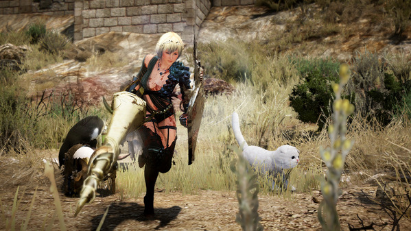 Black Desert Online Valkyrie