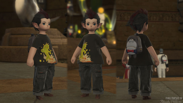 FF14 ゴールドソーサー・フェスティバル セニョールウソウソ・パック