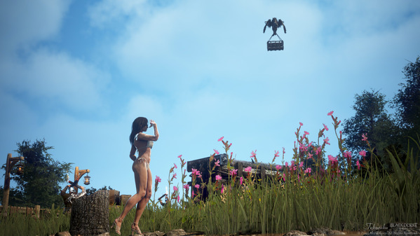 黒い砂漠 デッドアイ イリヤ島 バカンス：ビキニ衣装