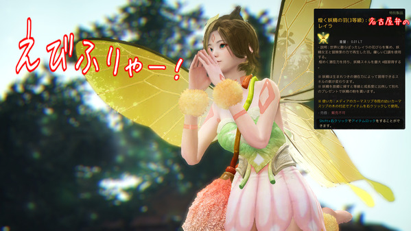 黒い砂漠 妖精 3等級 レイラ