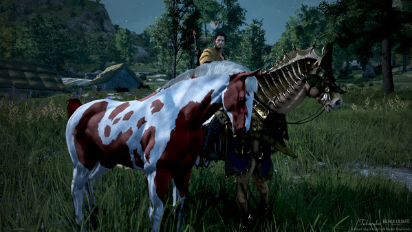 黒い砂漠 野生馬捕獲 ウォーリア