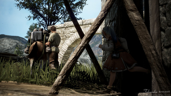 黒い砂漠 山の配達員a05d