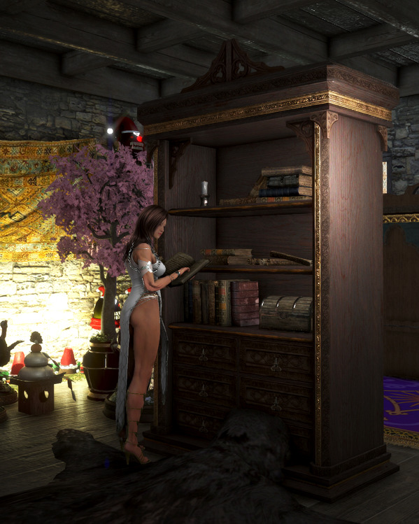 黒い砂漠 カルフェオン生態系手作り本棚