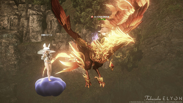 ELYON TERAコラボ 乗り物 フェニックス 水着エリーン