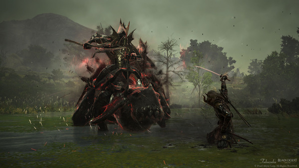 黒い砂漠 忍者 エルビアの領域 沼フォガン