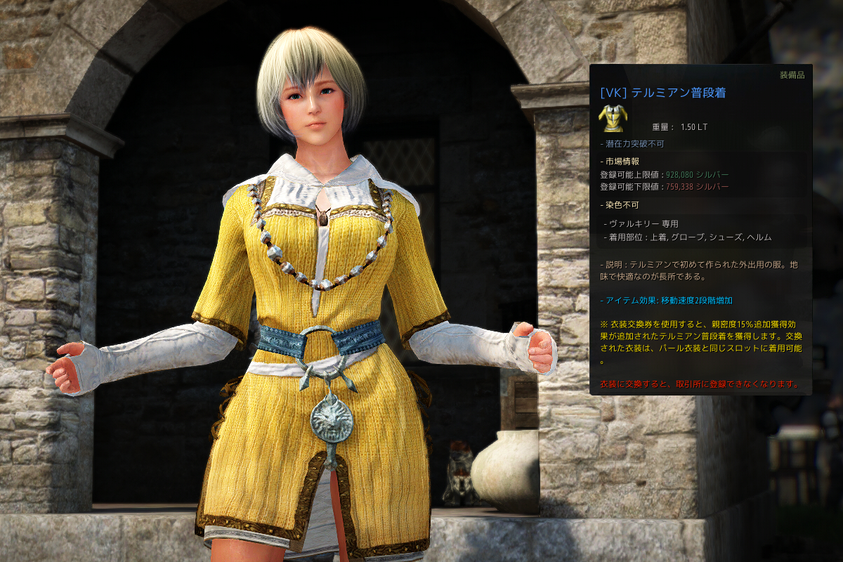 テルミアン普段着を作成しました Valkyrie テルミアン普段着を作成しました Valkyrie