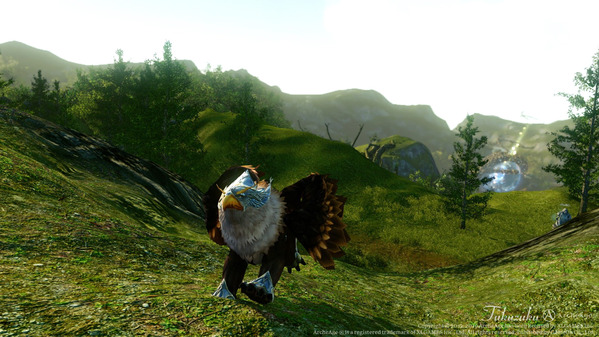 ArcheAge ヒラマ山脈東部