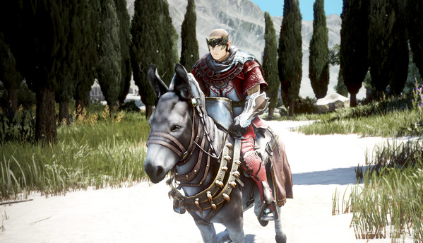 黒い砂漠 くろさば主将撮影会020