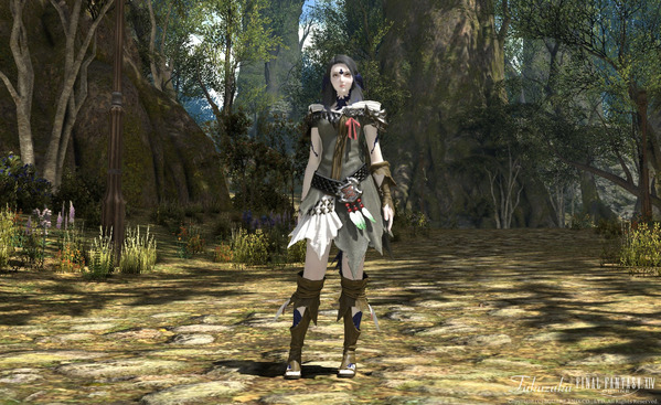 FF14 黄金のレガシー ベンチマーク