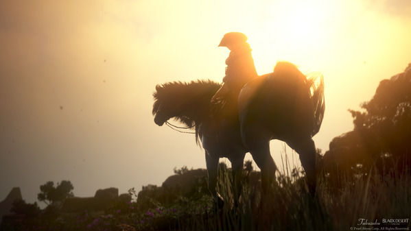 Black Desert Deadeye Pale Horse