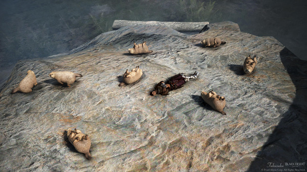 黒い砂漠 ハサシン マーモット