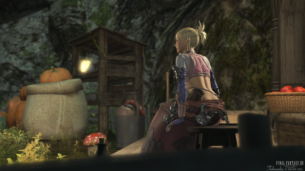 FF14 守護天節2025 ミンフィリア変身